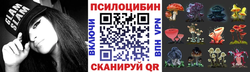 Галлюциногенные грибы Psilocybe  Анжеро-Судженск 