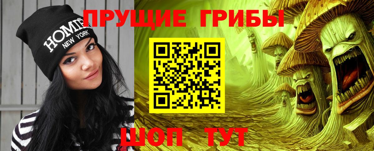 Псилоцибиновые грибы Psilocybine cubensis Анжеро-Судженск