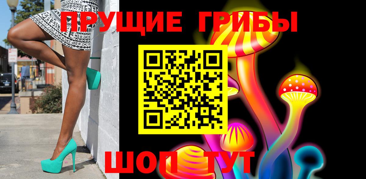Псилоцибиновые грибы Psilocybe  где найти наркотики  Анжеро-Судженск  Вход с VPN 